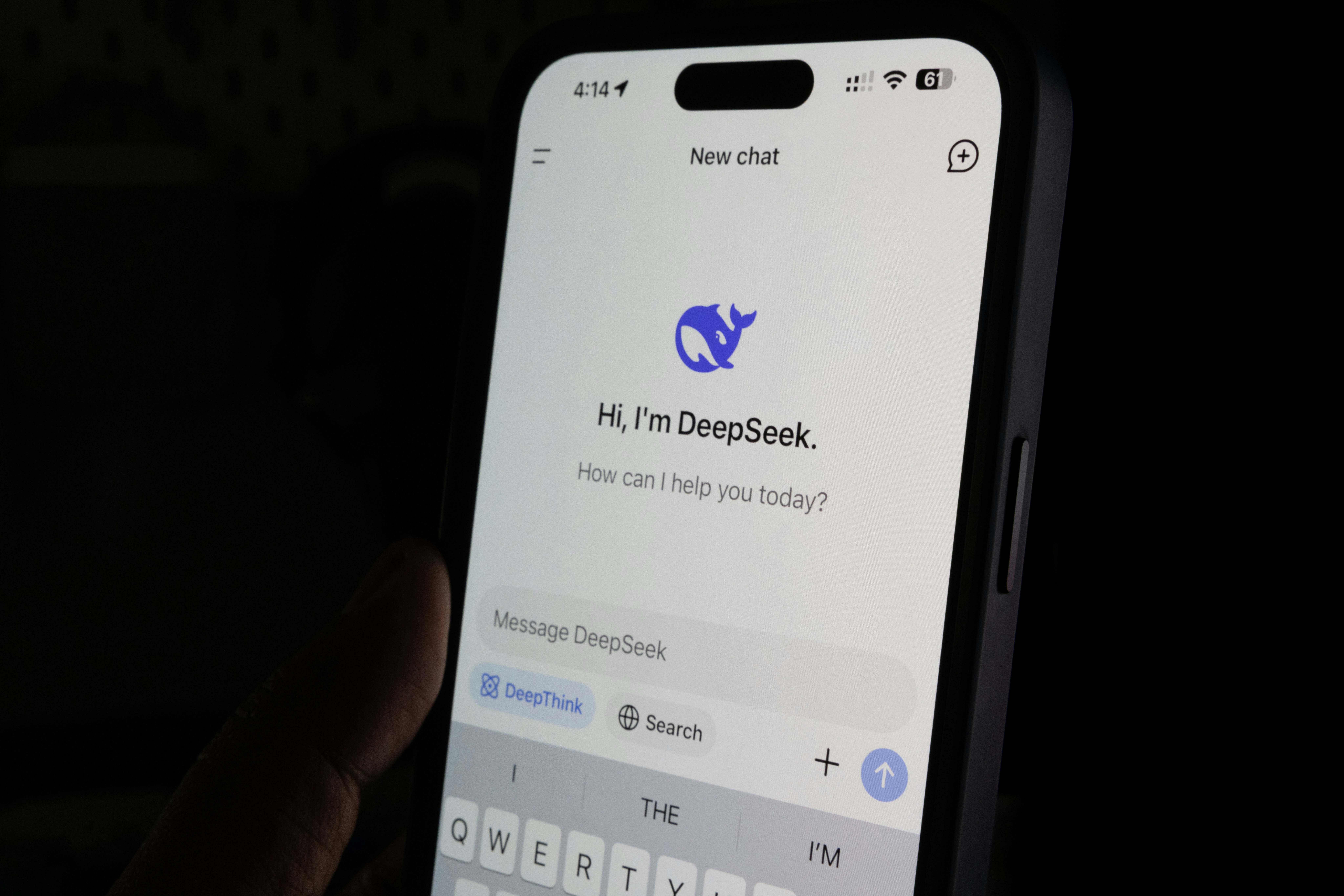 DeepSeek Chatbot Banner